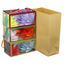 Brilliant Magic Appearing Flowers Box From A Paper Bag Easy Amazing Magic Trick!