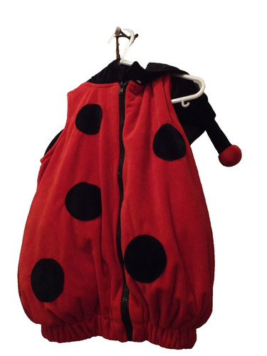 Dream play imagine lady - dream, bug