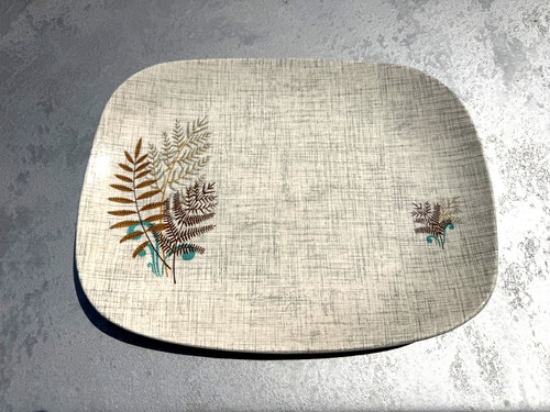 Meakin rock fern - meakin,