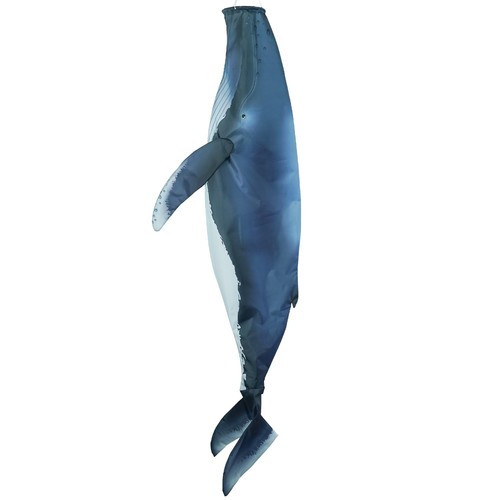 Humpback whale fish - whale, 48"