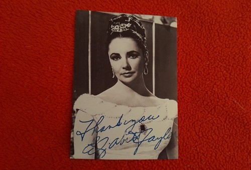 Elizabeth taylor photo - elizabeth,