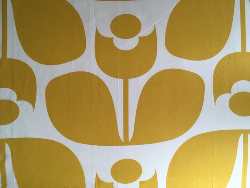 Orla kiely wallflower - wallflower, yellow