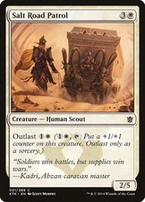 Salt road patrol - salt, (21)