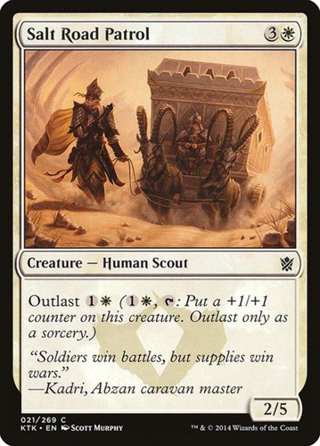 Salt road patrol - salt, (21)