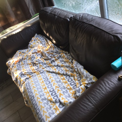 Brown velvet sofa couch - couch,
