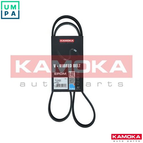 Vribbed belt 7016080 for - belt,