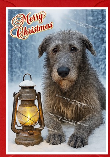 Irish wolfhound dog christmas - irish,