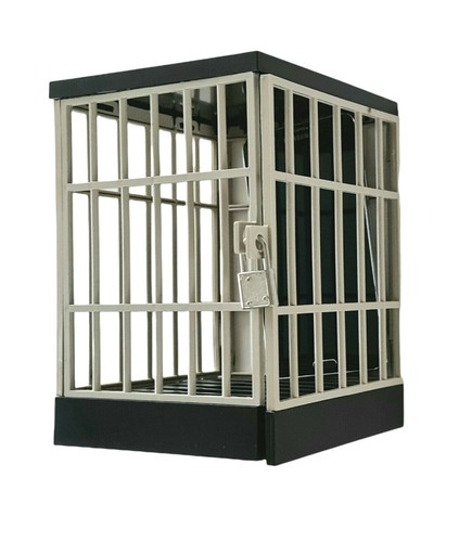 Mobile smartphone jail - /,