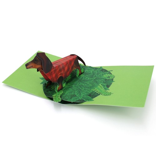 2totango pop card cute - up,