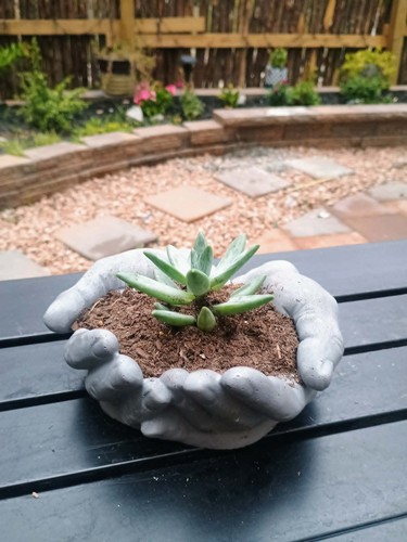 Handmade concrete planter - , pot