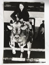 Girl Kathi Mosl Riding Jumping