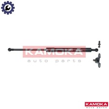 GAS SPRING BOOTCARGO AREA