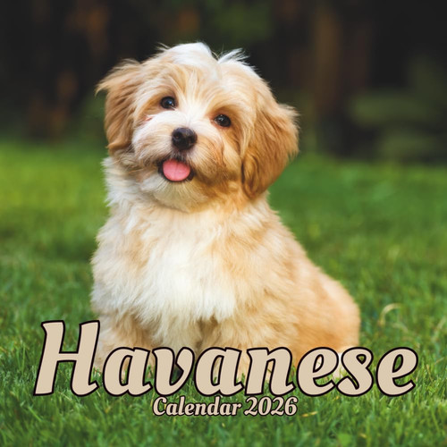 Havanese calendar 2026 12 - 2026:,