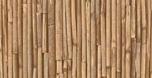 Bamboo reef wicker wood - bamboo,