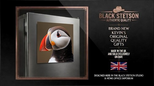 Fridge magnets puffin - fridge,