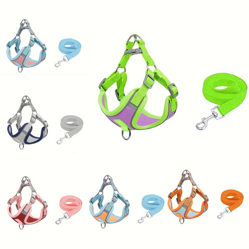 Dog harness and leash - harness,