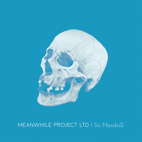 Meanwhile project ltd sir - project,