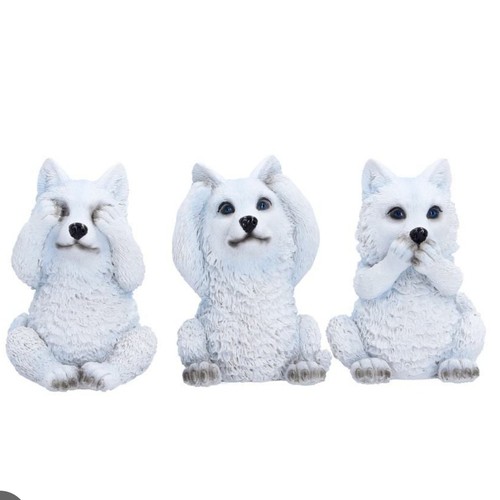 Three wise wolf pups - wise,