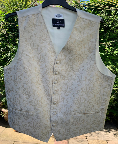 Men formal waistcoat - formal,