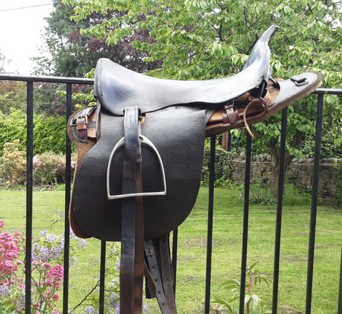 Original 1900 dated boar - original,