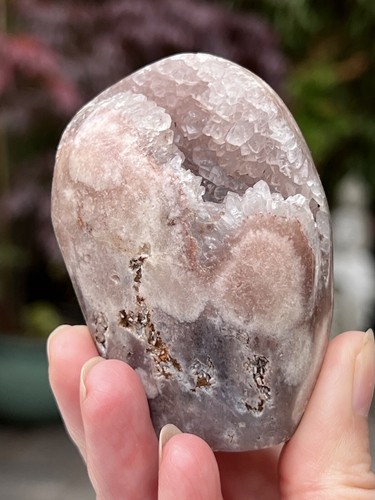 Large brazilian pink - large,