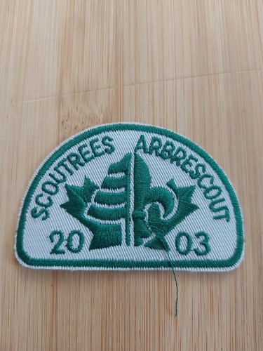 Canadian boy scout badge - scout,