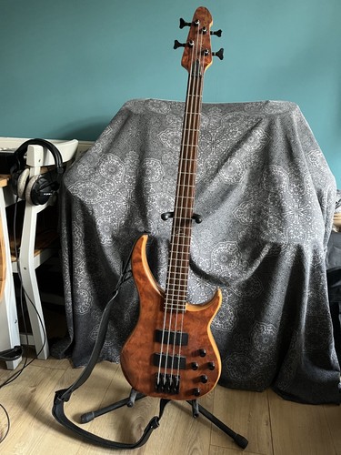 Peavey cirrus bxp bubinga - cirrus, 4