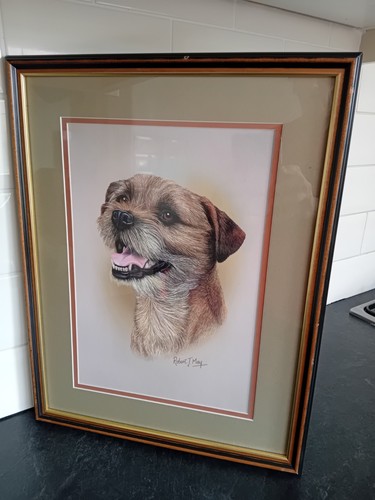 Framed border terrier - framed,