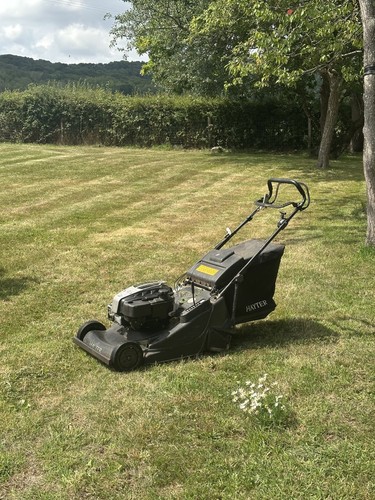 Hayter harrier petrol - 56,
