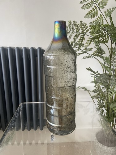 Coach house iridescent mercury - house,