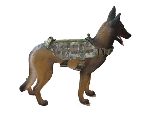 Onie canine special operations - onie,