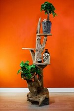 Root Wood Flower Stand Table