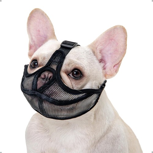 Dog muzzle for - muzzle,