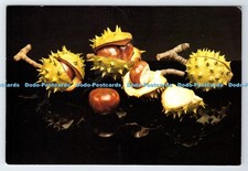 D338193 Penkridge Ceramics. Lorraine Taylor. Argent Works. Abacus