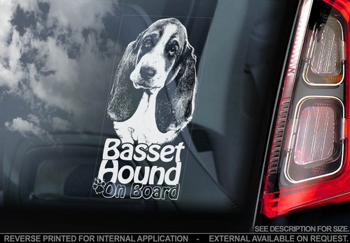 Basset hound dog car - hound, window