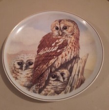 NBJ China Staffordshire