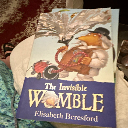 The invisible womble - the,