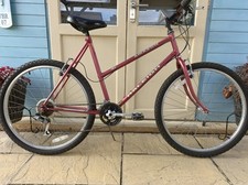 Raleigh Amazon Vgc Serviced