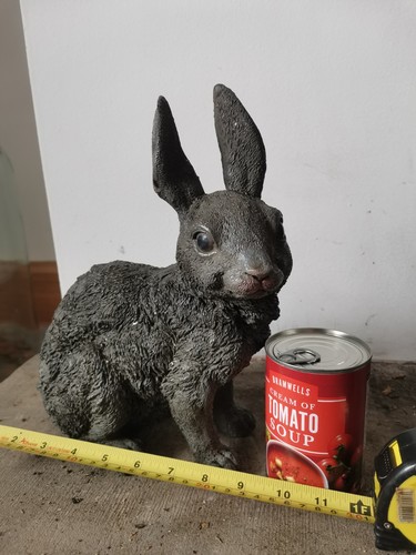 Massive grey franz - grey, bergman