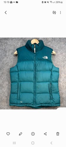 North face 700 down - north,
