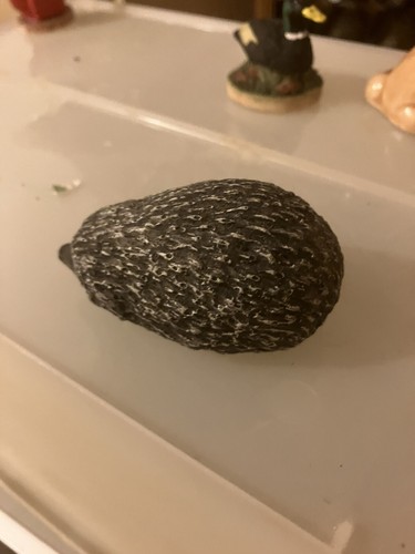 Unmarked hedgehog figurine - hedgehog,