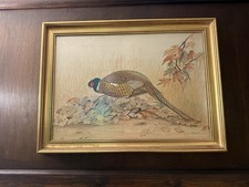 Original Cock Pheasant