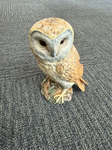 Beswick barn owl - beswick, england