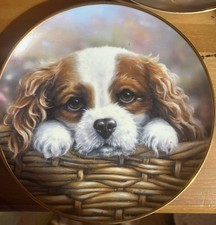 DANBURY MINT 'TAKE ME HOME '