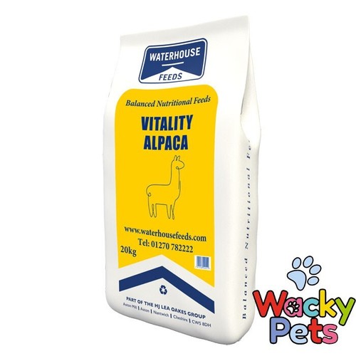 Llama alpaca food - llama,