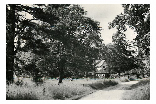 Rt0177 the drive ashtead - -,