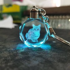 Animal Themed Crystal 3D LED