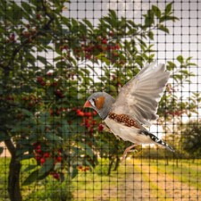 HEAVY DUTY FRUIT VEG CAGE NETTING ANTI BIRD FLY GARDEN POND NET PROTECTION MESH