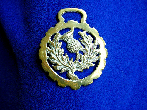 Vintage brass horse - vintage,
