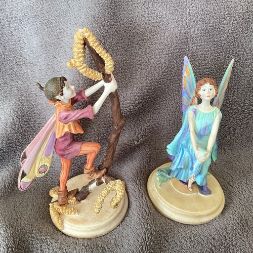 The enchanted world fairies - the,